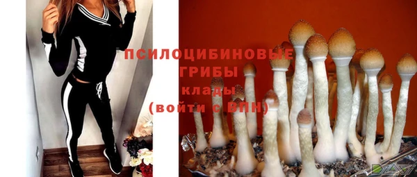 кокаин премиум Бородино