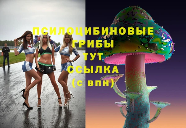 молекула духа Бугульма