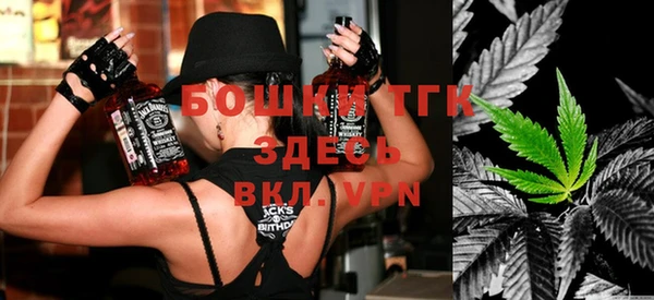 молекула духа Бугульма