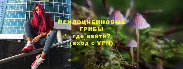 соль ск Бронницы
