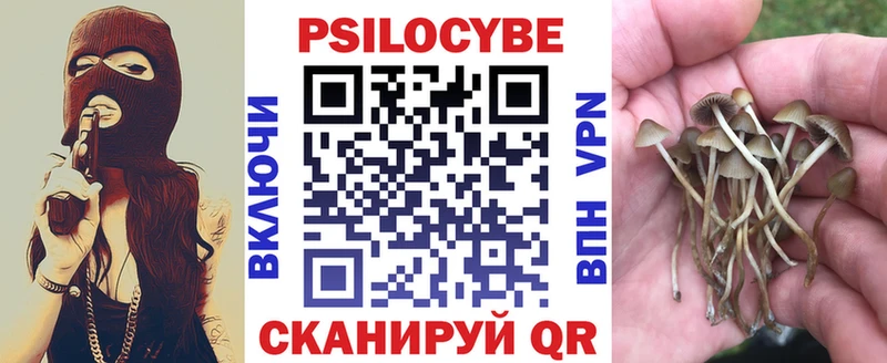 Псилоцибиновые грибы Cubensis  что такое   Мытищи 
